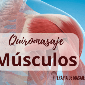 Tratamiento Muscular